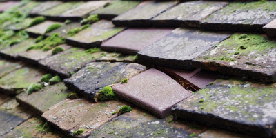 Fowlmere roof repair costs